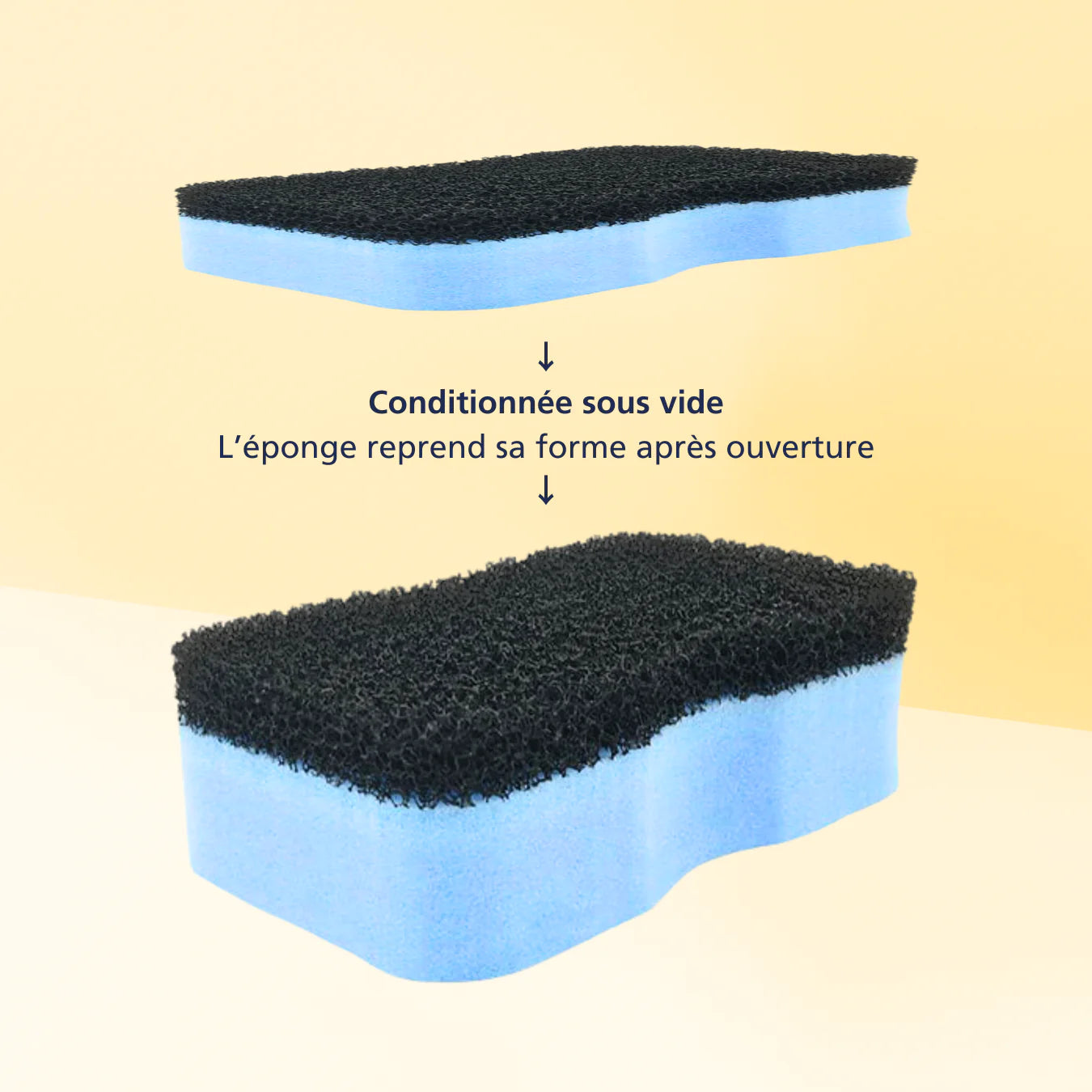Equine Products France - 2 EN 1 Eponge + Etrille de douche Bleue