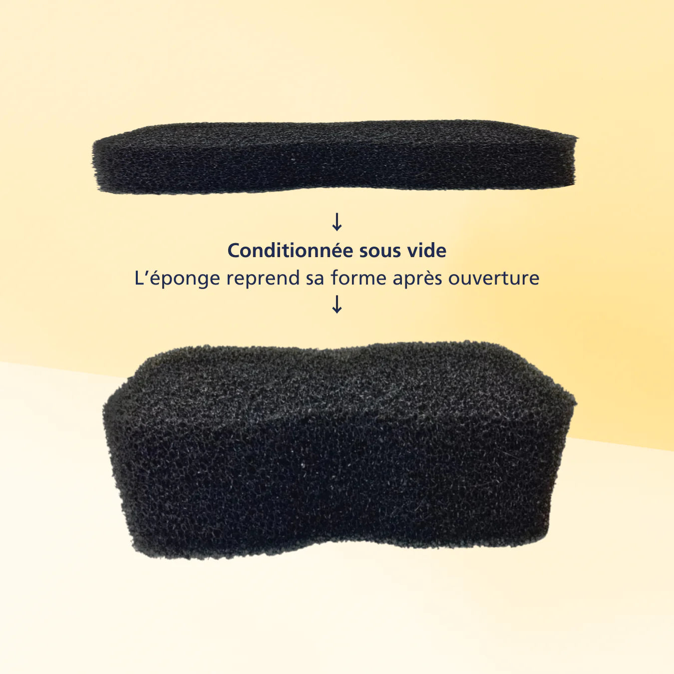 Equine Products France - TIGER'S TONGUE 3 EN 1 Eponge + Bouchon + Etrille noire