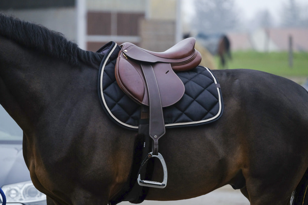 Equithème - Tapis de selle Classic Cheval