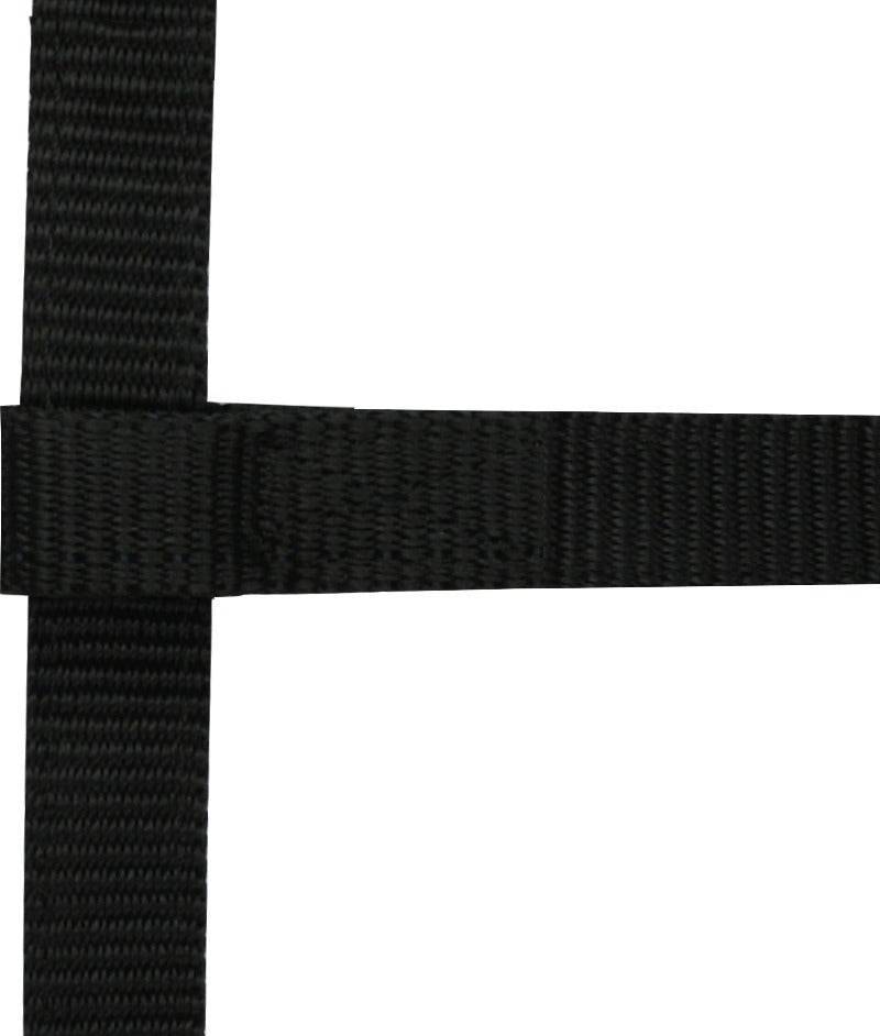 Norton - Licol Réglable Mini Foal