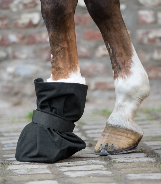 Waldhausen - Botte de pansement pour sabot
