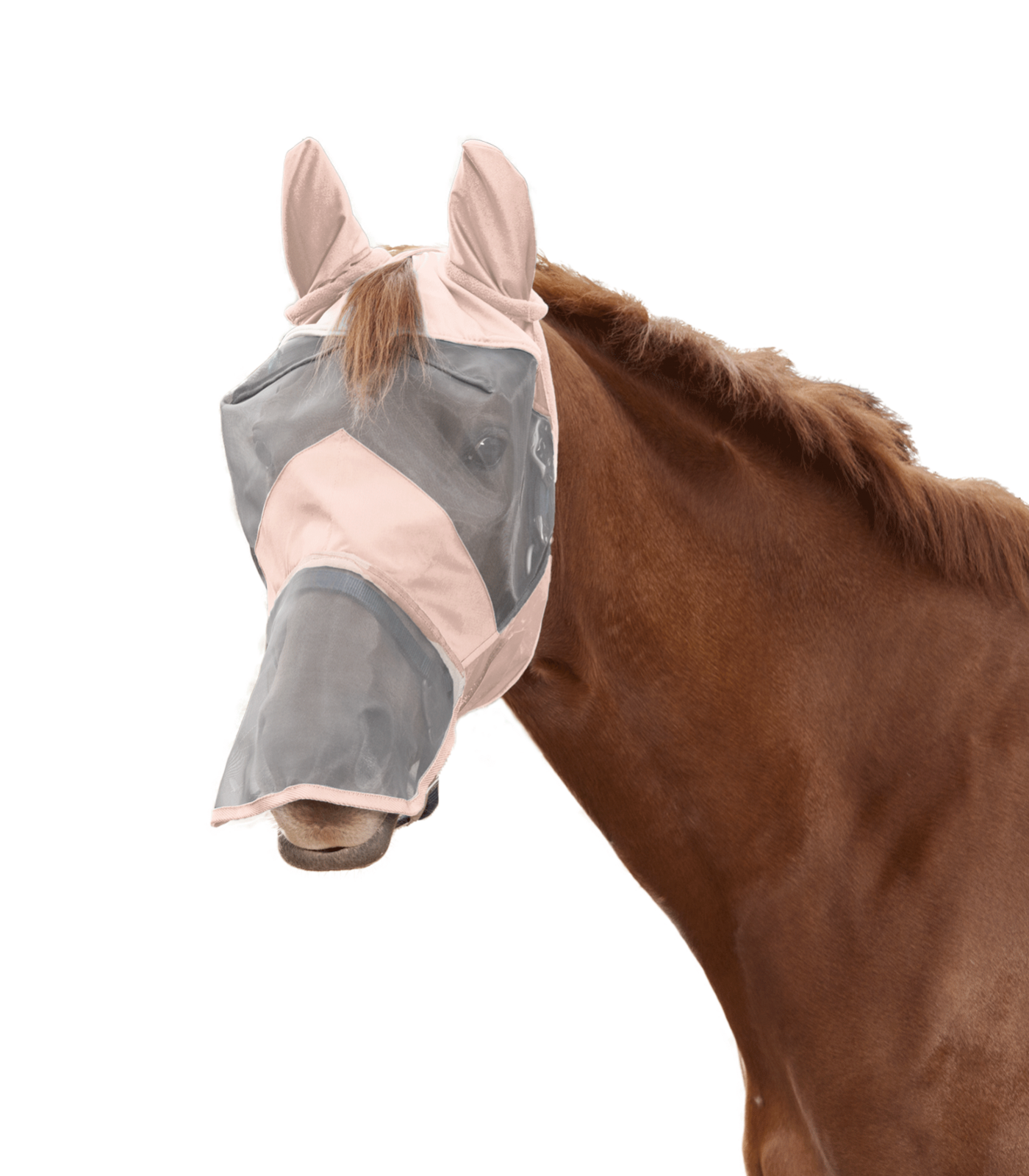 Waldhausen - Masque Anti mouche Premium, protection oreilles et chanfrein