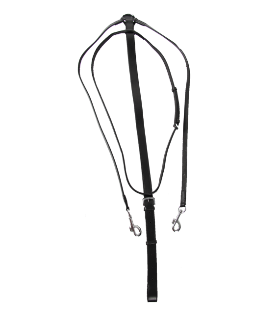 Waldhausen - Martingale spéciale Thiedmann star