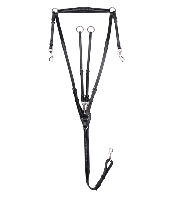 Waldhausen - Collier de chasse