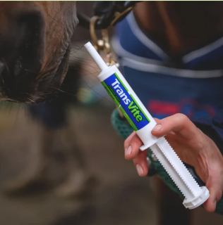 Equine Products - TransVite Paste probiotique et prébiotique anti stress instetinal