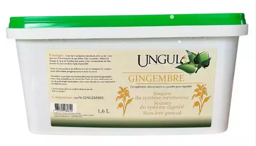 Ungula - Gingembre