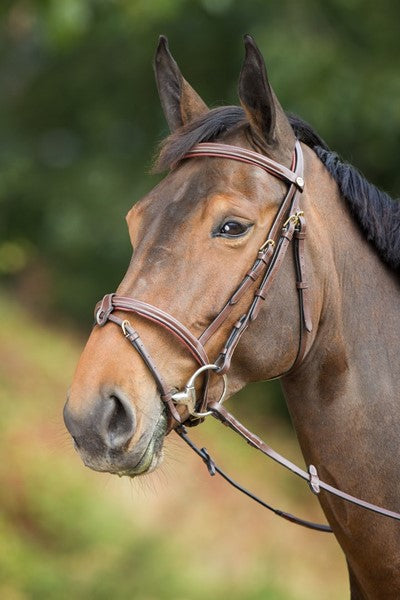 HFI - Bridon Anatomic