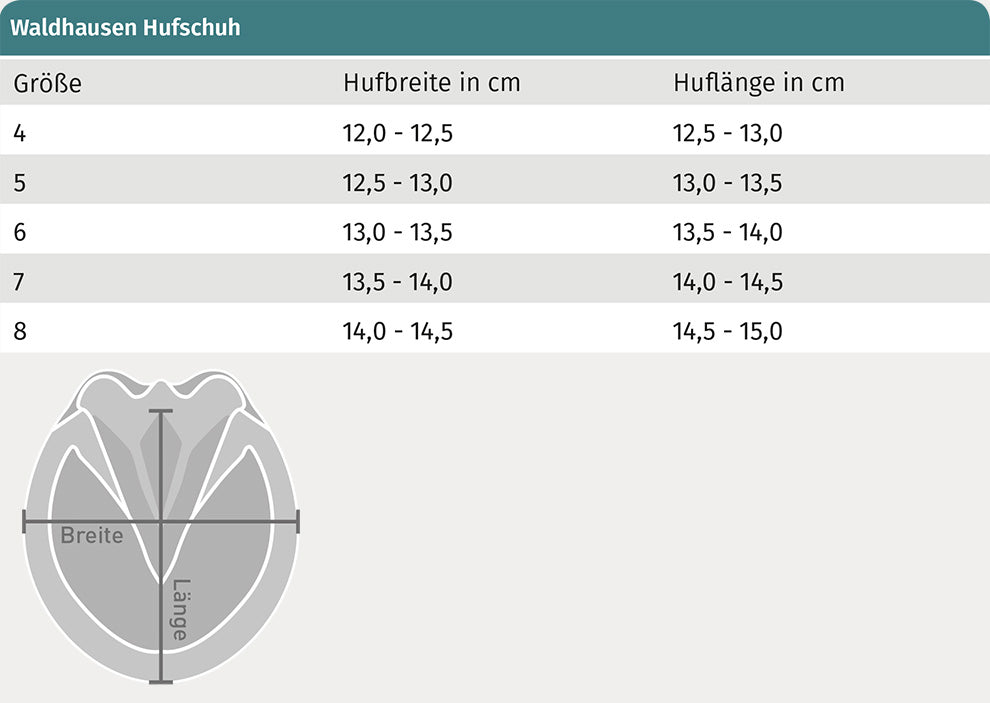 Waldhausen - Hipposandales, l'unité