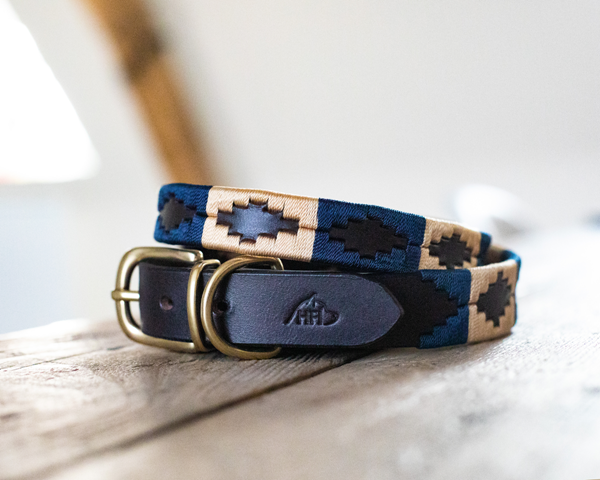 HFI - Collier en cuir Chien "Polo"