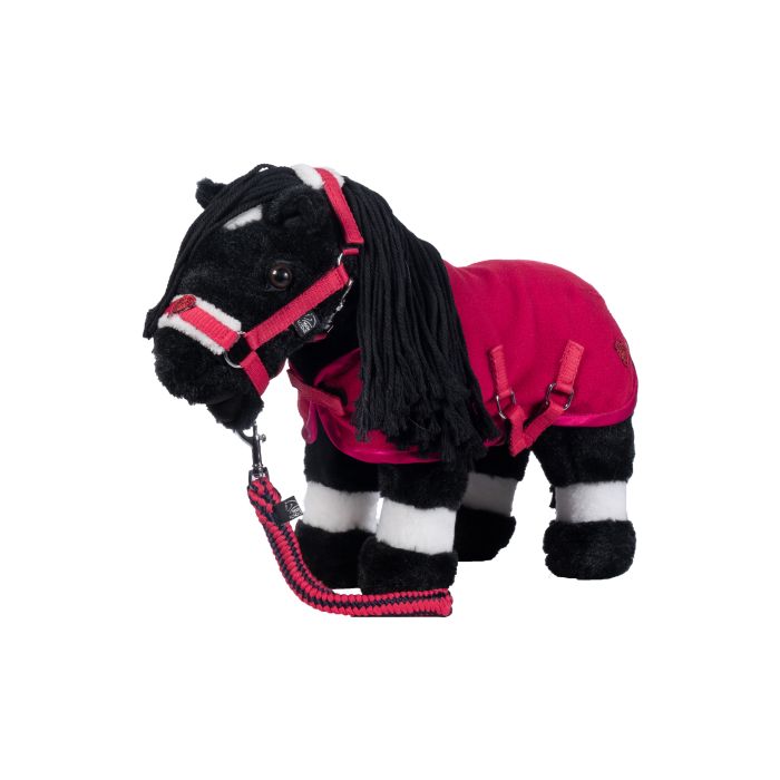 HKM - Set de démarrage Cuddle Pony