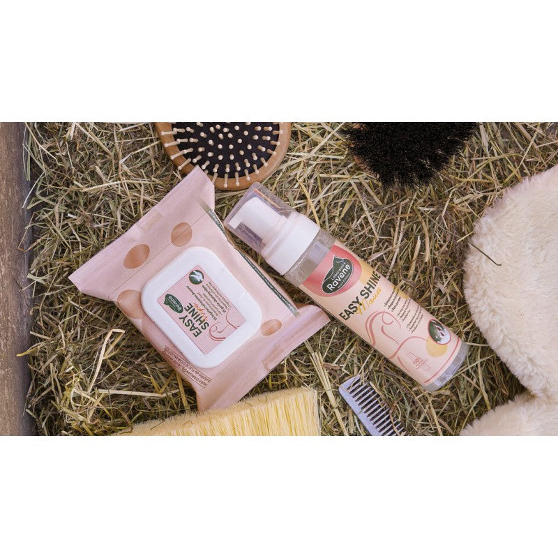 Ravene - Easy Shine mousse