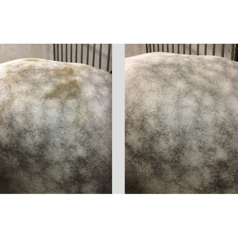 Ravene - Easy Shine mousse