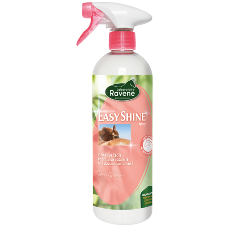 Ravene - Démélant Easy Shine
