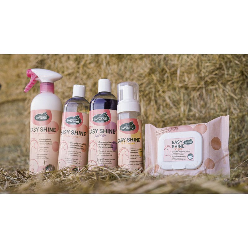 Ravene - Easy Shine Wipe Lingettes nettoyantes