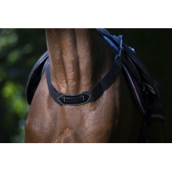 Eric Thomas - Fausse bricole élastique