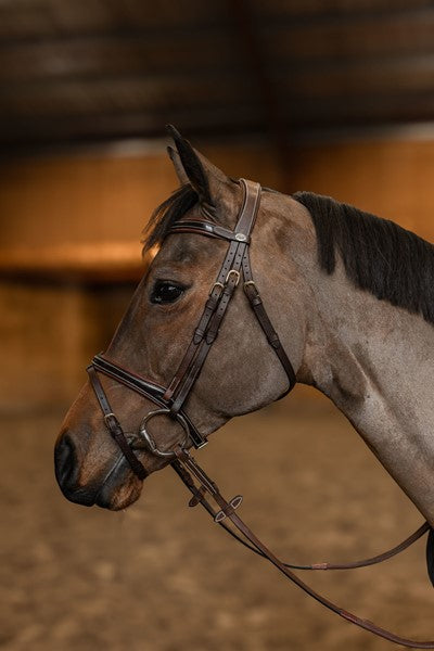 HFI - Bridon combiné "Painted"