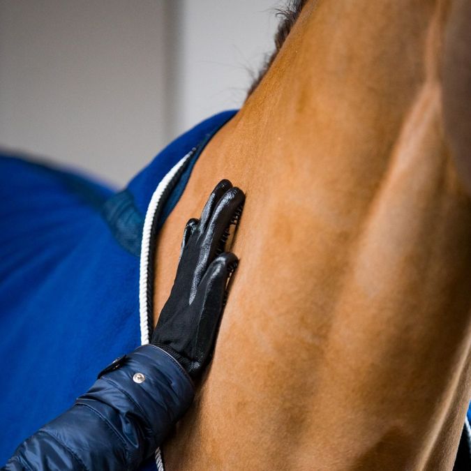 Racer - Gant Récréation