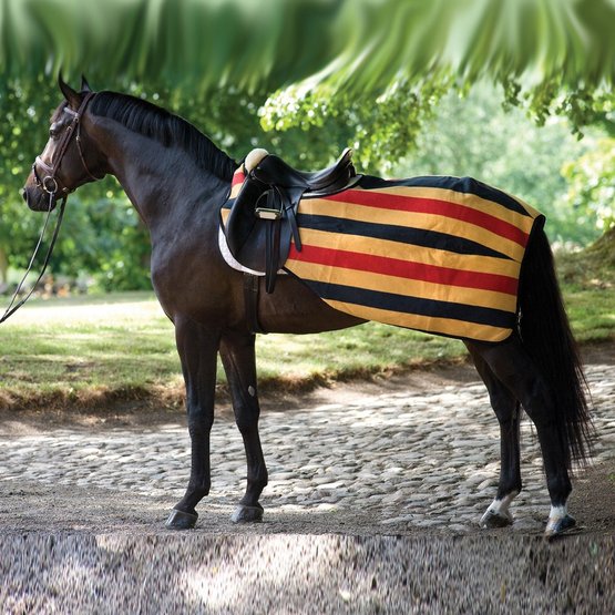 Horseware - Rambo Fleece Competition Witney Gold