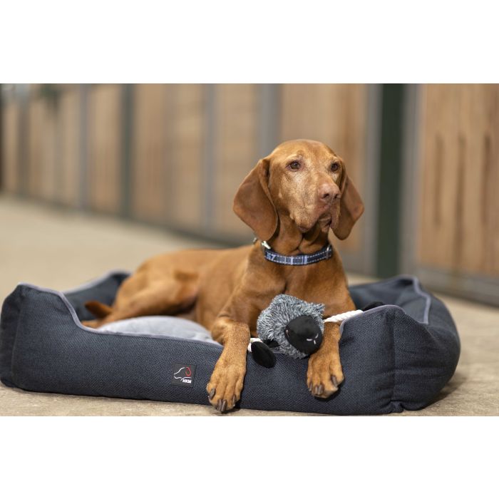 HKM - Jouet pour chien Buddy Sheep