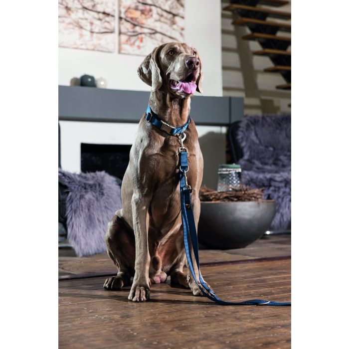 HKM - Laisse pour chien Anam Cara
