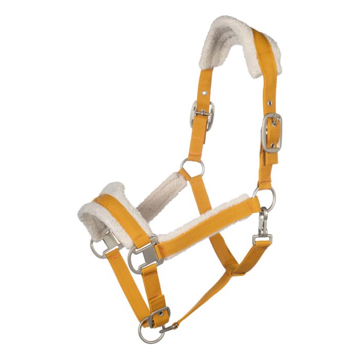 HKM - Licol Arezzo