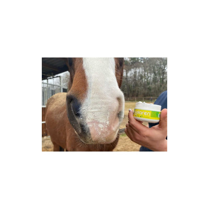Animaderm - Protection solaire - SOLAREN
