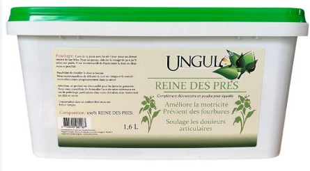 Ungula Reine des prés