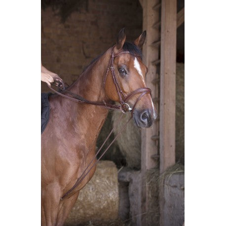 Norton - Rênes allemande PRO - Cuir/corde