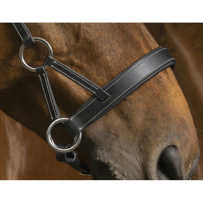 Norton - Side Pull Pro Confort