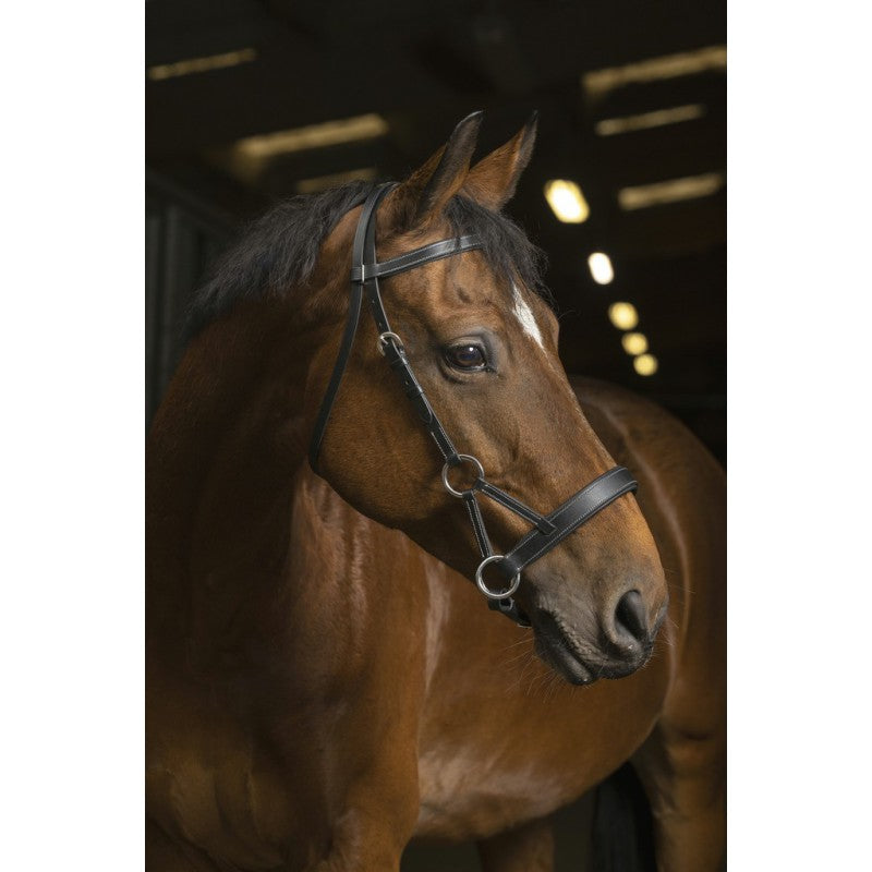 Norton - Side Pull Pro Confort