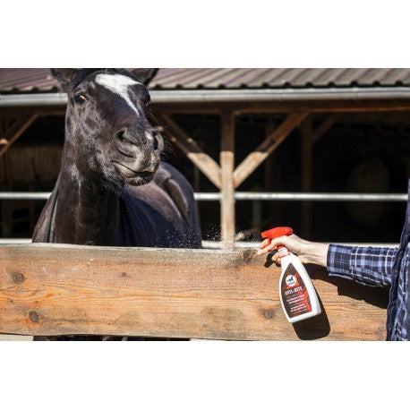 LEOVET - Spray anti-rongement