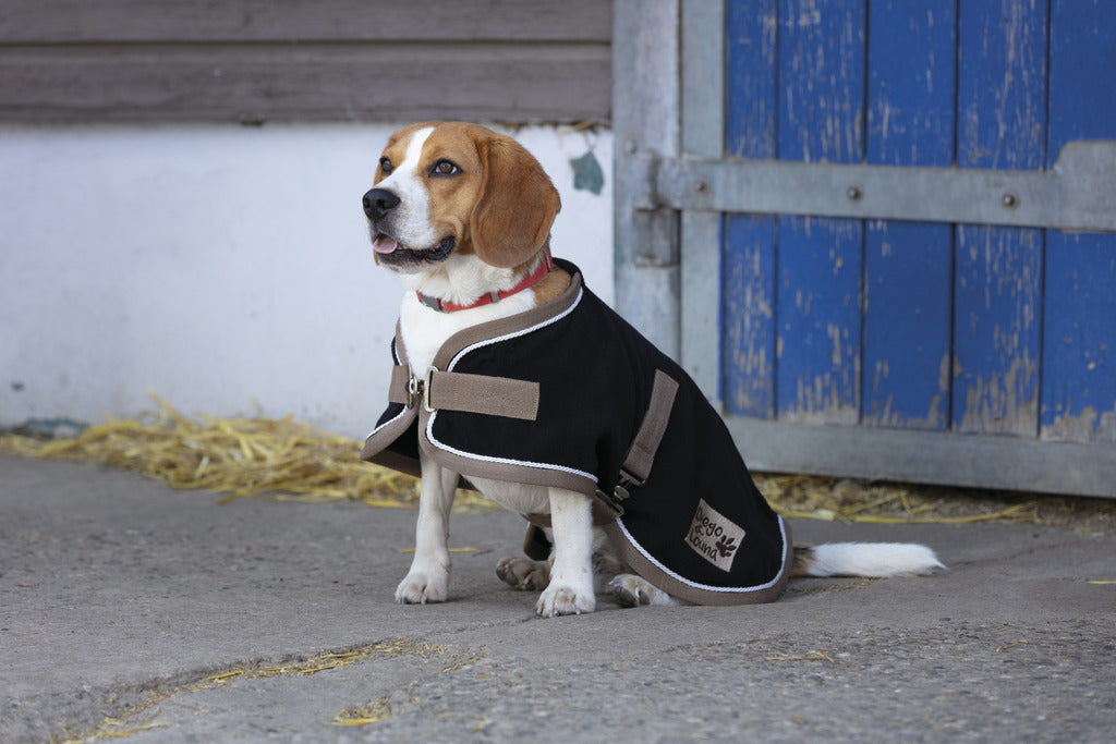 COUVERTURE CHIEN DIEGO & LOUNA "POLYFUN"