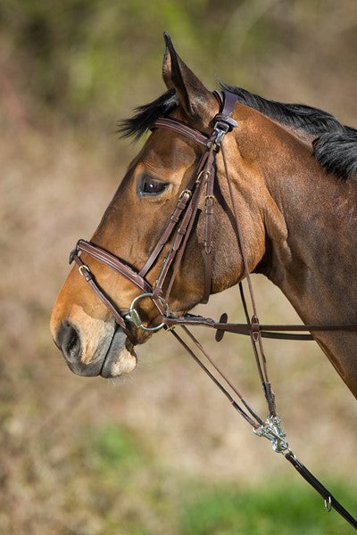 HFI - Gogue en cuir