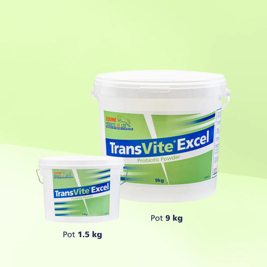 Equine Products France - Transvite Excel