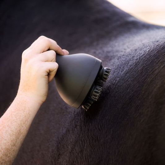 Imperial Riding - Brosse Grooming Relaxation IRHVolta