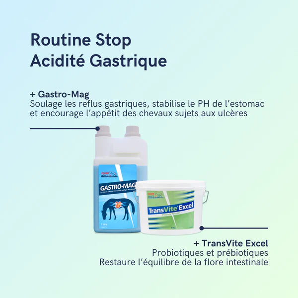 Equine Products - Gastro Mag