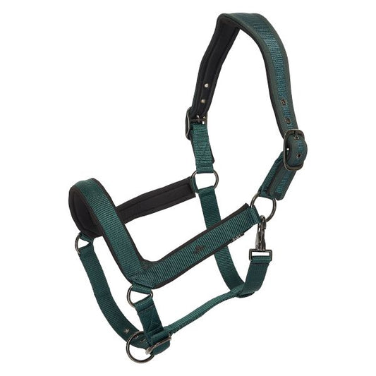 HV Polo - Licol Essential