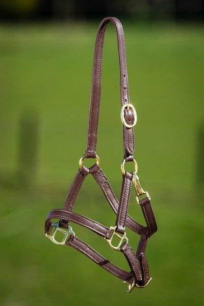 HFI - Licol en cuir souple Foal