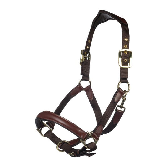 HKM - Licol cuir/nylon Luna
