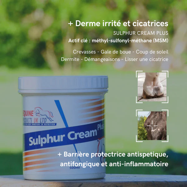 Equine Products - Sulphur Cream Crème cicatrisante